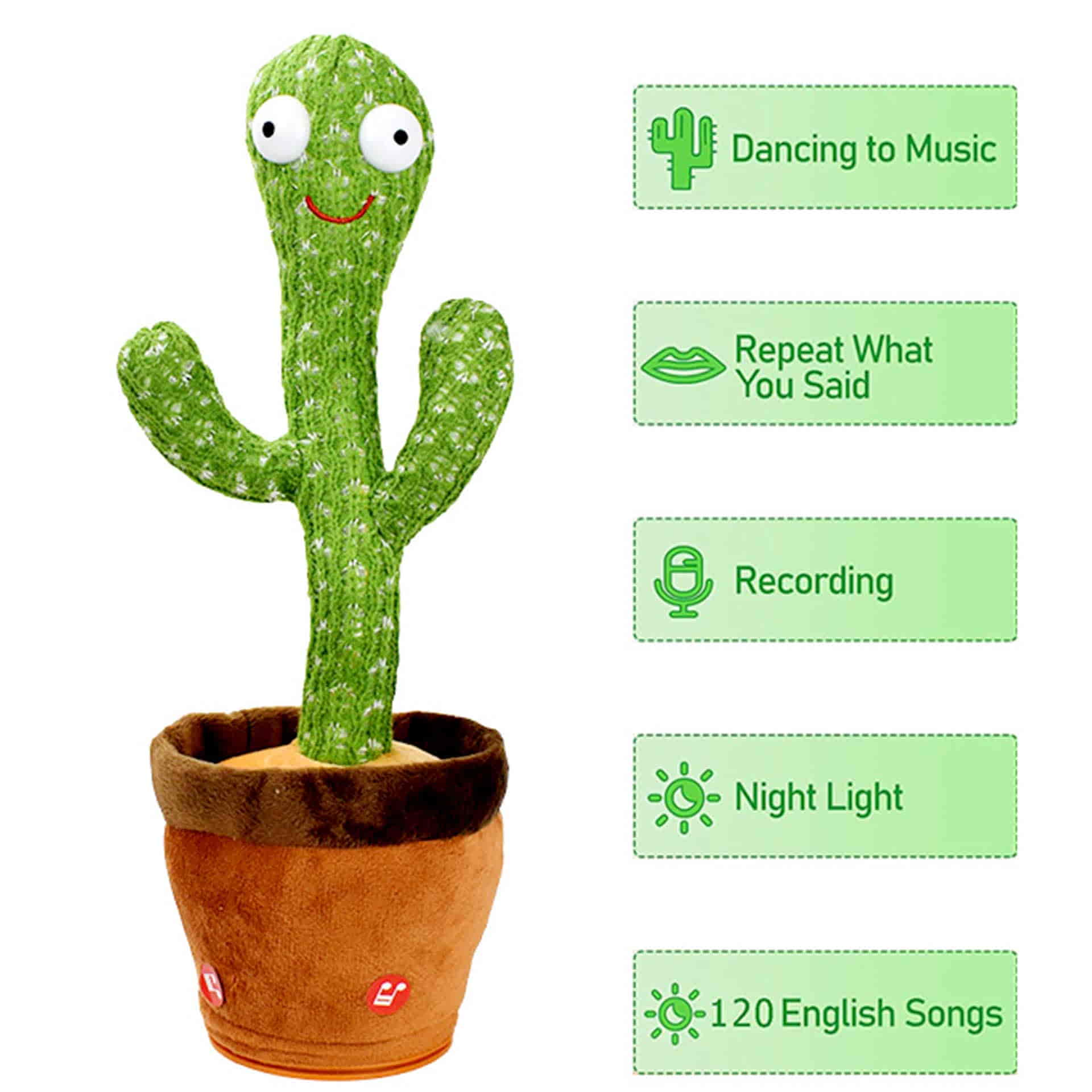 Mejor Cactus Bailarin Calidad Precio